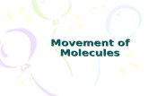 Movement of Molecules. Movement across Membranes All cells must be able to take in and expel various substances across their membranes in order to survive,