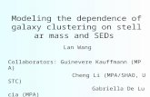 Modeling the dependence of galaxy clustering on stellar mass and SEDs Lan Wang Collaborators: Guinevere Kauffmann (MPA) Cheng Li (MPA/SHAO, USTC) Gabriella.