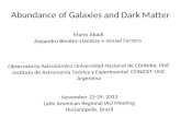 Abundance of Galaxies and Dark Matter Mario Abadi Alejandro Benítez-Llambay & Ismael Ferrero Observatorio Astronómico Universidad Nacional de Córdoba,