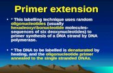 Primer extension * This labelling technique uses random oligonucleotides (usually hexadeoxyribonucleotide molecules- sequences of six deoxynucleotides)