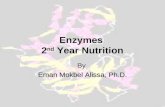 Enzymes 2 nd Year Nutrition By Eman Mokbel Alissa, Ph.D.
