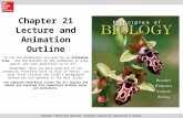1 Chapter 21 Lecture and Animation Outline Copyright © McGraw-Hill Education. Permission required for reproduction or display. To run the animations you.