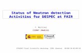 Status of Neutron detection Activities for DESPEC at FAIR T. Martinez CIEMAT (Madrid) EFNUDAT-Final Scientific Workshop, CERN (Geneva) 30/08/10-02/09/10.