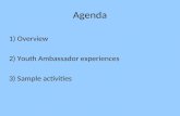 Agenda 1) Overview 2) Youth Ambassador experiences 3) Sample activities.