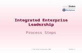Process 1© The Delos Partnership 2005 Integrated Enterprise Leadership Process Steps.