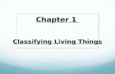 Chapter 1 Classifying Living Things. What controls all of the functions of a cell? A. Nucleus B. Mitochondria C. Cell membrane D. Vertebrate.