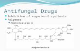 Antifungal Drugs Inhibition of ergosterol synthesis Polyenes Amphotericin B.