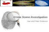 Crime Scene Investigation Hair and Fiber Evidence.