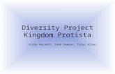 Diversity Project Kingdom Protista Kirby Hackett, Imad Semaan, Tyler Allen.