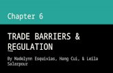 Chapter 6 TRADE BARRIERS & REGULATION By Madelynn Esquivias, Hang Cui, & Leila Salarpour.