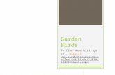 Garden Birds To find more birds go to :  d.ie/IrelandsBirds/tabid/541 /Default.aspx  d.ie/IrelandsBirds/tabid/541.