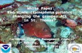 White Paper: Red Hinds (Epinephelus guttatus): changing the grouper ACL in St. Thomas? Caribbean Fishery Management Council 151 st Meeting, ST. Thomas,
