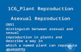 Www.juniorscience.ie 1C6_Plant Reproduction Asexual Reproduction OB51 distinguish between asexual and sexual reproduction in plants and describe a way.