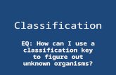 Classification EQ: How can I use a classification key to figure out unknown organisms? SPI 0807.5.1.