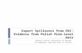 Export Spillovers from FDI: Evidence from Polish firm-level data Andrzej Cieślik (University of Warsaw) Jan Hagemejer (National Bank of Poland)