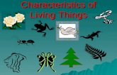 Characteristics of Living Things. 1. Made of Cells unicellular vs.. multicellular Red Blood cellsOnion skin epidermal cellsHuman cheek cells.