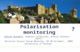 Polarisation monitoring Sabine Riemann, Andreas Schälicke, Andriy Ushakov (DESY) Positron Source Group Meeting, 28-30 October, 2009 University of Durham.