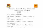 Neutral Current Deep Inelastic Scattering in ZEUS The HERA collider NC Deep Inelastic Scattering at HERA The ZEUS detector Neutral current cross section.