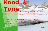 Mood & Tone Mood is the feeling that a story creates in the reader. Tone is a author’s attitude toward the subject or audience of the story.
