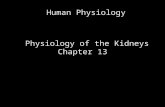 Human Physiology Physiology of the Kidneys Chapter 13.