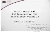 Rural Hospital Collaborative for Excellence Using IT AHRQ UC1 HS15431 Kathy Mechler, MS, RN, CPHQ Texas A&M University Health Science Center Rural and.