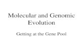 Molecular and Genomic Evolution Getting at the Gene Pool.