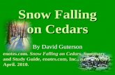 Snow Falling on Cedars By David Guterson enotes.com. Snow Falling on Cedars. Summary and Study Guide, enotes.com, Inc., n.d. Web. 5 April. 2010.