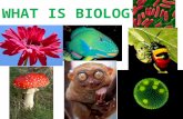 WHAT IS BIOLOGY?. Biology is the study of all living things. From microscopic bacteria to the largest animal on Earth.
