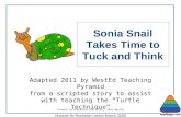 Adapted 2011 by WestEd Teaching Pyramid from a scripted story to assist with teaching the “Turtle Technique” Original By Rochelle Lentini March 2005 Artwork.