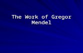 The Work of Gregor Mendel. Think About It! What is an inheritance? –It is something we each receive from our parents – a contribution that determines.