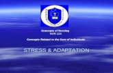 STRESS & ADAPTATION Concepts of Nursing NUR 123 Concepts Related to the Care of Individuals.
