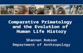 Comparative Primatology and the Evolution of Human Life History Shannen Robson Department of Anthropology.