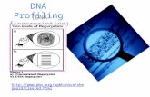 DNA Profiling (DNA fingerprinting)  pard/cleared.html.