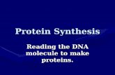 Protein Synthesis Reading the DNA molecule to make proteins.