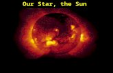Our Star, the Sun. The Sun is the Largest Object in the Solar System The Sun contains more than 99.85% of the total mass of the solar system If you.