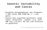 Genetic Variability and Cancer Germline polymorphisms are frequent: 1 SNP every 400-1500 bp (> 1 per gene) Cancer has acquired mutations (some tumor “mutations”