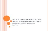 MLAB 1415: H EMATOLOGY K ERI B ROPHY -M ARTINEZ Chapter 26: Lymphoid Malignancies Part Two.