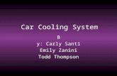 Car Cooling System B y: Carly Santi Emily Zanini Todd Thompson.