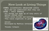 1600s scientists observed cells Most did not understand what they saw  1838 – cell theory All things are made up of tiny units of matter called cells.