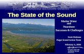 The State of the Sound Scott Redman Puget Sound Action Team February 5, 2003 Marine Water and Nearshore Successes & Challenges.