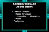 Cardiovascular Assessment u Cardiac Output Blood Pressure – Systolic / Diastolic Pulse u Perfusion.