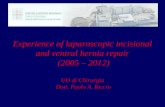 Experience of laparoscopic incisional and ventral hernia repair (2005 – 2012) UO di Chirurgia Dott. Paolo A. Riccio.