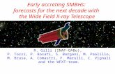 Early accreting SMBHs: forecasts for the next decade with the Wide Field X-ray Telescope R. Gilli (INAF-OABo), P. Tozzi, P. Rosati, S. Borgani, M. Paolillo,
