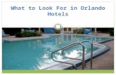 What to Look For in Orlando Hotels. Florida can be a great place to vacation, and Orlando hotels offer a variety of amenities that can lure a traveler.