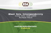Wheat Data Interoperability Esther DZALE YEUMO KABORE Richard FULSS.
