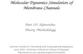 Molecular Dynamics Simulation of Membrane Channels Part III. Nanotubes Theory, Methodology Summer School on Theoretical and Computational Biophysics June.