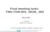 Associazione EURATOM ENEA sulla FUSIONE Final Meeting of the Tasks TW5-TSW-001, 001B, -002 23-24 October 2006, UKAEA, Culham, UK Final meeting tasks TW5-TSW-001,