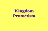 Kingdom Protoctista. Includes Protozoa and Algae Some are microscopic, but some can be observed by the unaided eye Some are unicellular organisms, but.