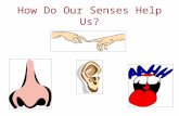How Do Our Senses Help Us?. Think About It…. How would your life be different if you couldn’t hear what was going on around you? Do you know anyone that.
