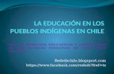RED DE DERECHOS EDUCATIVOS Y LINGUISTICOS DE LOS PUEBLOS INDIGENAS DE CHILE (RED DELPICH) Redeibchile.blogsport.com .